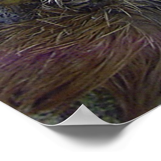 Dreischneider Poster (Ecke)