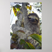 Dreischneider Poster (Vorne)