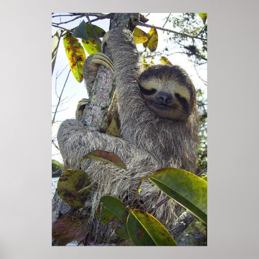 Dreischneider Poster (Vorne)