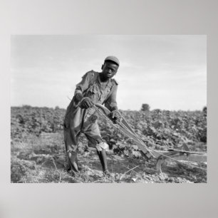 Dreizehn-jähriges altes, ein Feld in Georgia Poster