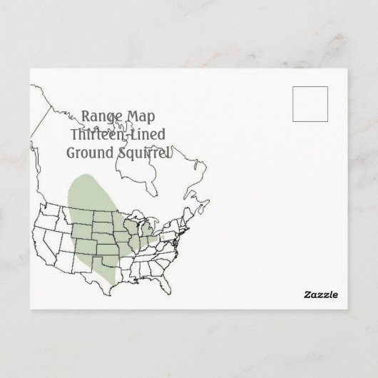 Dreizehn-Linde-Ground-Eichhörnchen Postkarte (Rückseite)