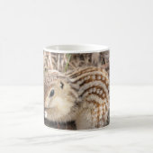 Dreizehn zeichneten Grundeichhörnchen Kaffeetasse (Mittel)