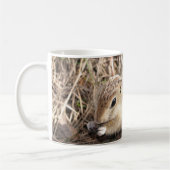 Dreizehn zeichneten Grundeichhörnchen Kaffeetasse (Links)