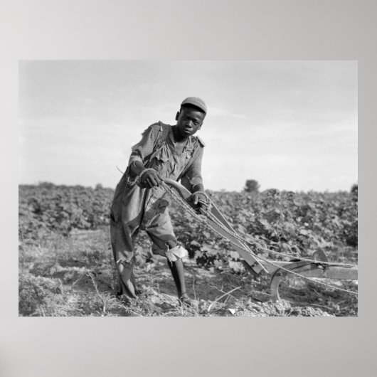 Dreizehnjähriges Pflügen in Georgien Poster (Vorne)