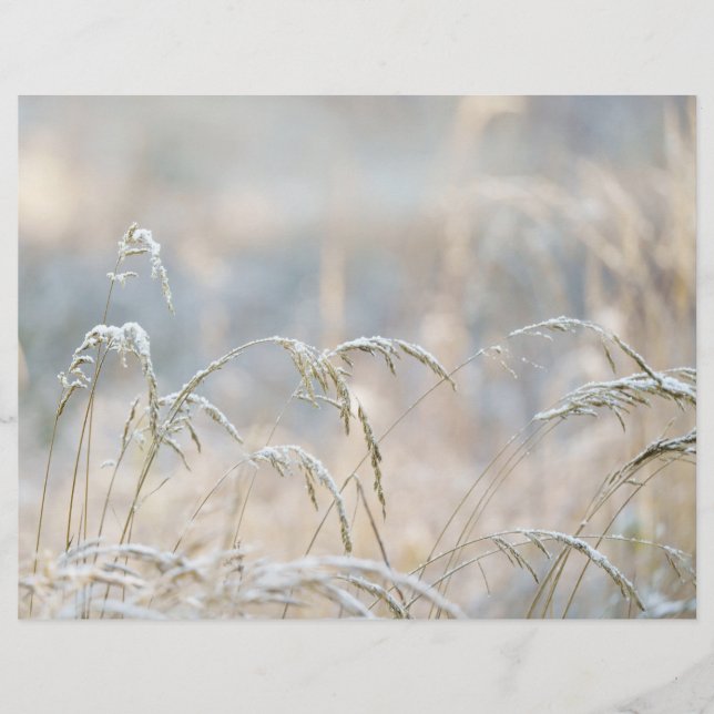 Dremy Winter Nature Scrapbook paper (Vorderseite)