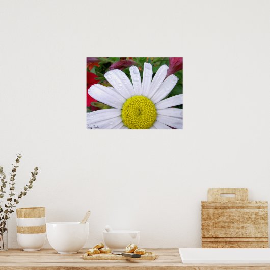 Drenched Daisy 5 Poster (Küche)