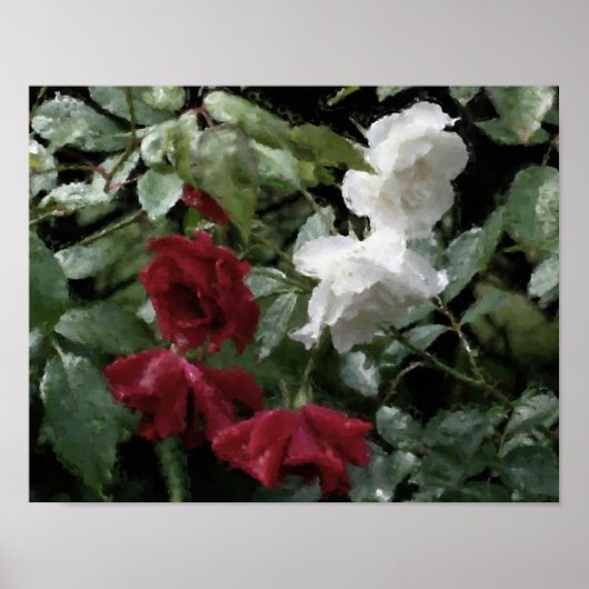 Drenched Roses Flower Watercolor Photo Painting Poster (Vorne)