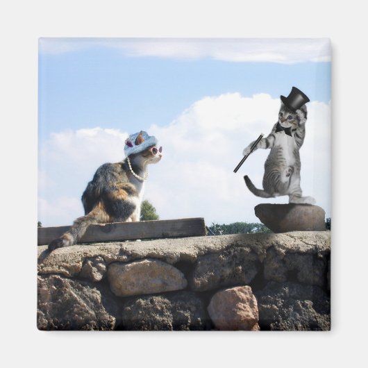 Dress to Impress & do ein wenig Tanz auch! Magnet (Vorne)