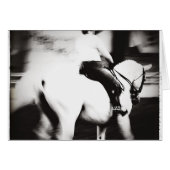 Dressage (Vorderseite (Horizontal))