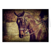 Dressage (Vorderseite (Horizontal))