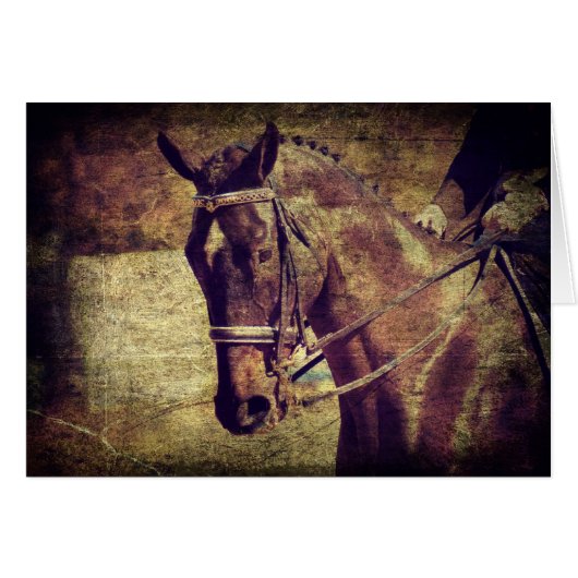 Dressage (Vorderseite (Horizontal))