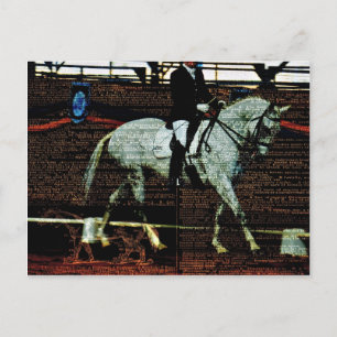 Dressage Art Postkarte