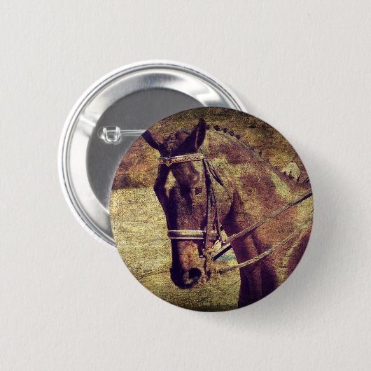 Dressage Button (Vorne & Hinten)