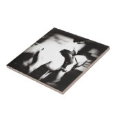 Dressage Fliese (Seite)