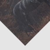 Dressage Friesian Stallion Seidenpapier (Ausschnitt)