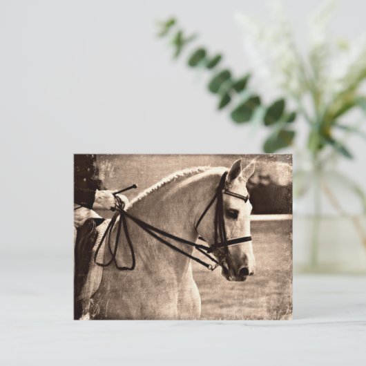 Dressage Grunge Postkarte (Stehend Vorderseite)