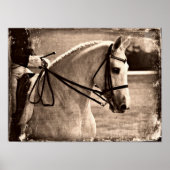 Dressage Horse Grunge Poster (Vorne)