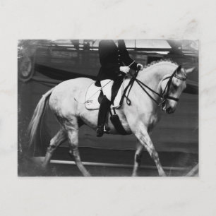 Dressage Horse Grunge Postkarte