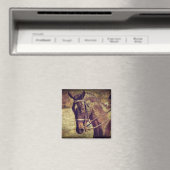 Dressage Magnet (In Situ (Geschirrspüler))