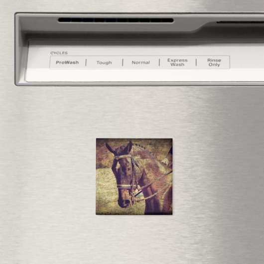 Dressage Magnet (In Situ (Geschirrspüler))