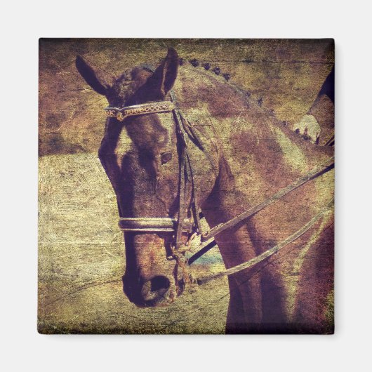 Dressage Magnet (Vorne)