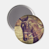 Dressage Magnet (Vorderseite/Rückseite)