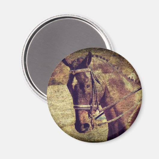 Dressage Magnet (Vorderseite/Rückseite)