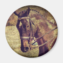 Dressage Magnet
