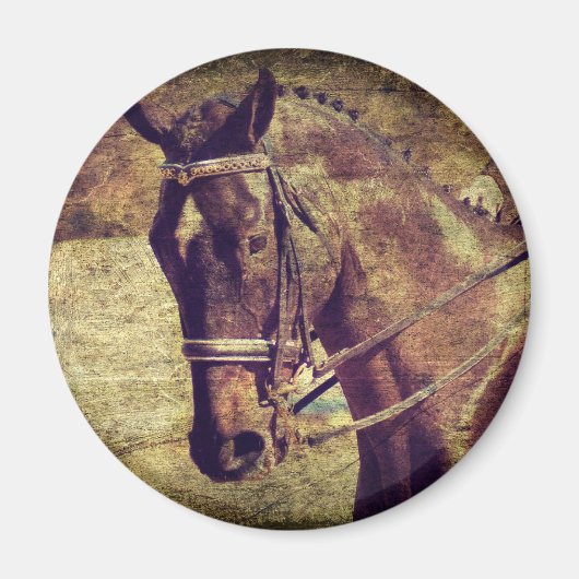 Dressage Magnet (Vorne)