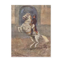 Dressage Pferd anzeigen