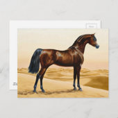Dressage Pferd anzeigen Postkarte (Vorne/Hinten)