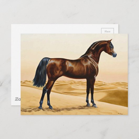 Dressage Pferd anzeigen Postkarte (Vorne/Hinten)