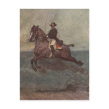 Dressage Pferd anzeigen