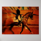 Dressage Poster (Vorne)