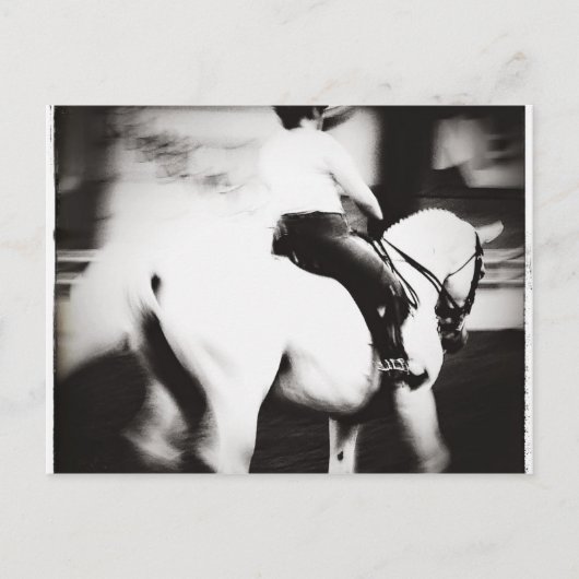 Dressage Postkarte (Vorderseite)