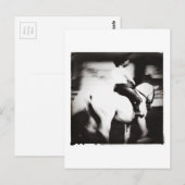 Dressage Postkarte (Vorne/Hinten)