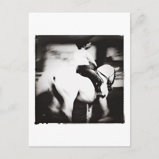 Dressage Postkarte (Vorderseite)