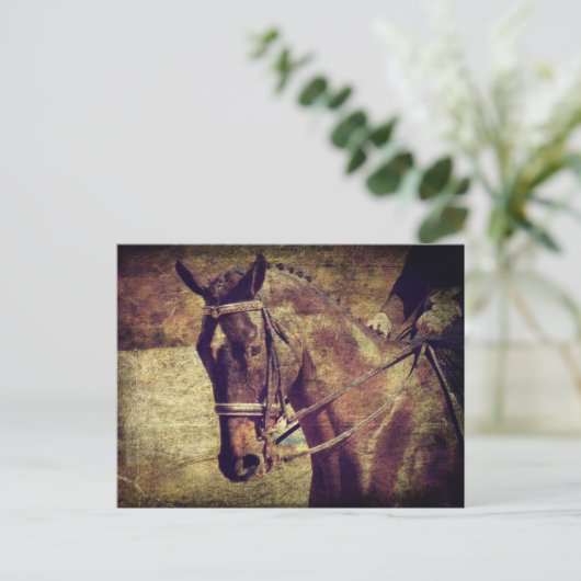 Dressage Postkarte (Stehend Vorderseite)