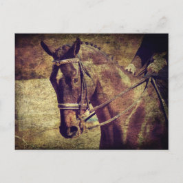Dressage Postkarte