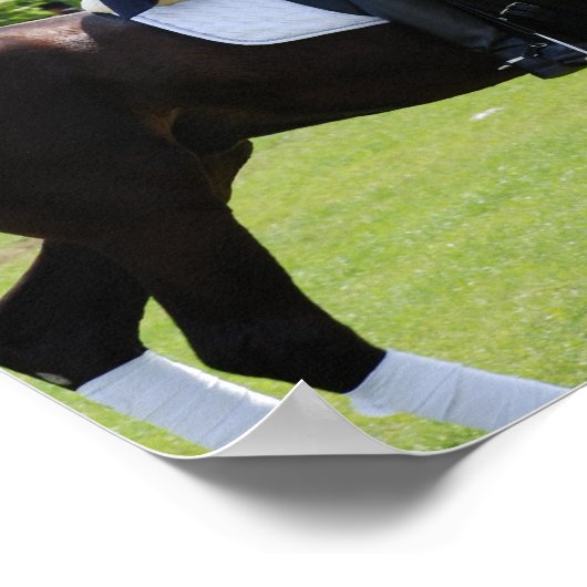 Dressage Reiter Canvas Print Poster (Ecke)