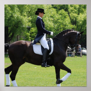 Dressage Reiter Canvas Print Poster