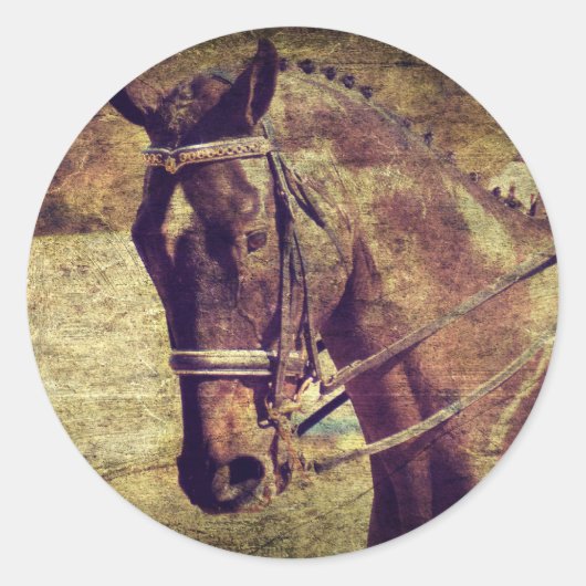 Dressage Runder Aufkleber (Vorderseite)