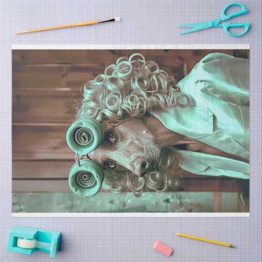 Dressed Bird Dog Decoupage Seidenpapier (Basteln)