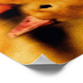 Dressed for Success Duck Poster (Ecke)