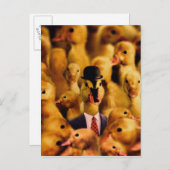 Dressed for Success Duck Postkarte (Vorne/Hinten)