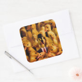 Dressed for Success Duck Quadratischer Aufkleber (Umschlag)
