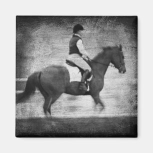 Dressur in Schwarz und Weiß Magnet