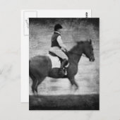 Dressur in Schwarz und Weiß Postkarte (Vorne/Hinten)