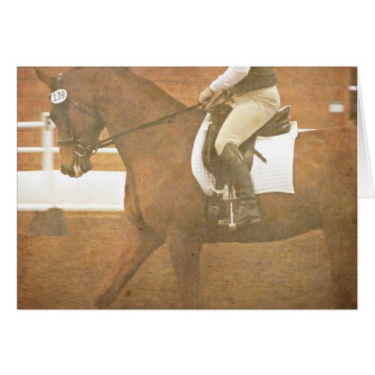 Dressurpferd 139 (Vorderseite (Horizontal))