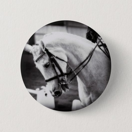 Dressurpferd Schwarz und Weiß Button (Vorderseite)